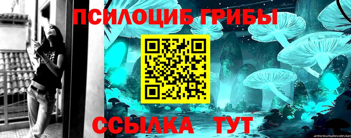 Псилоцибиновые грибы ЛСД Салехард