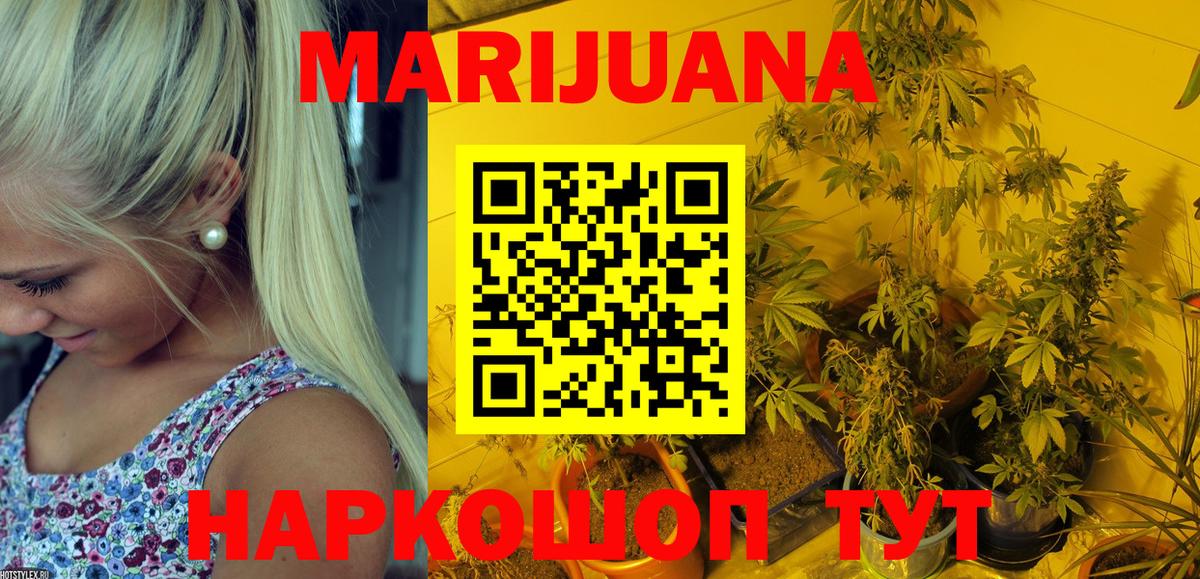 Конопля конопля Салехард